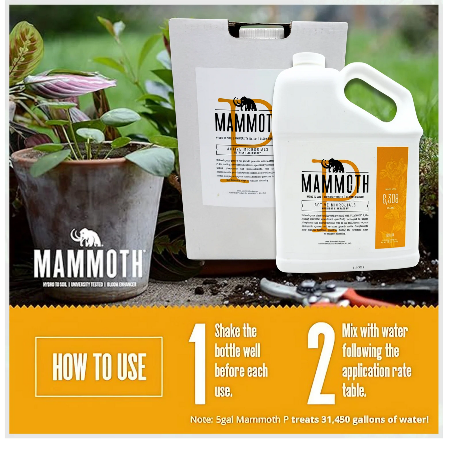 Mammoth plant care product packaging with instructions on a white background