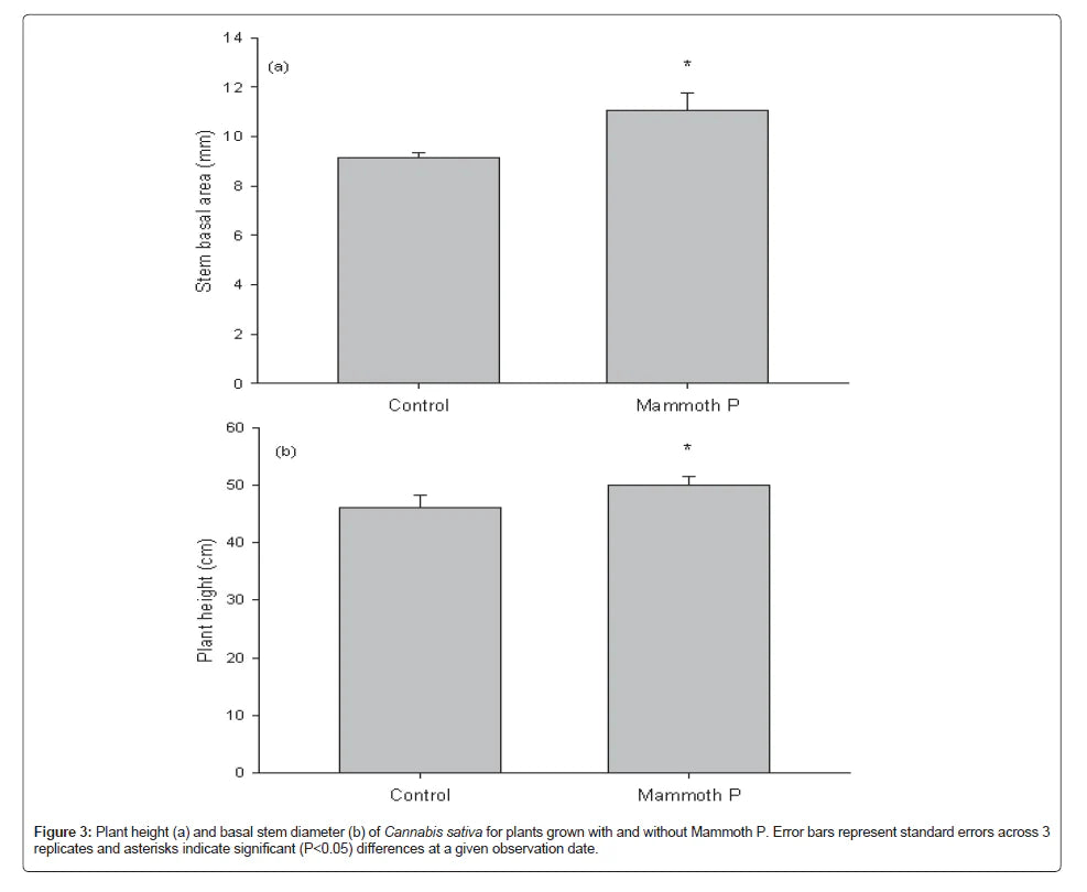 Bar graph comparing stem basal area and plant height between 'Control' and 'Mammoth P' treatments.