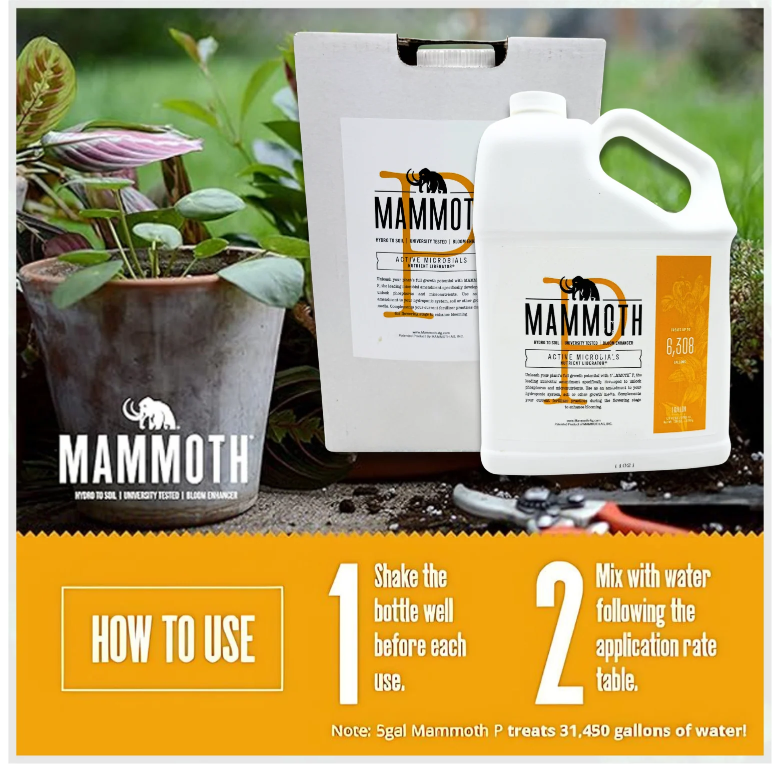 Mammoth plant care product packaging with instructions on a white background